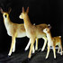 Комплект из 3х светодиодных фигур из стекловолокна "Семья антилоп" - фото 1