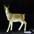 Комплект из 3х светодиодных фигур из стекловолокна "Семья антилоп" - фото 2