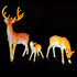 Комплект из 3х светодиодных фигур из стекловолокна "Семья оленей" - фото 1