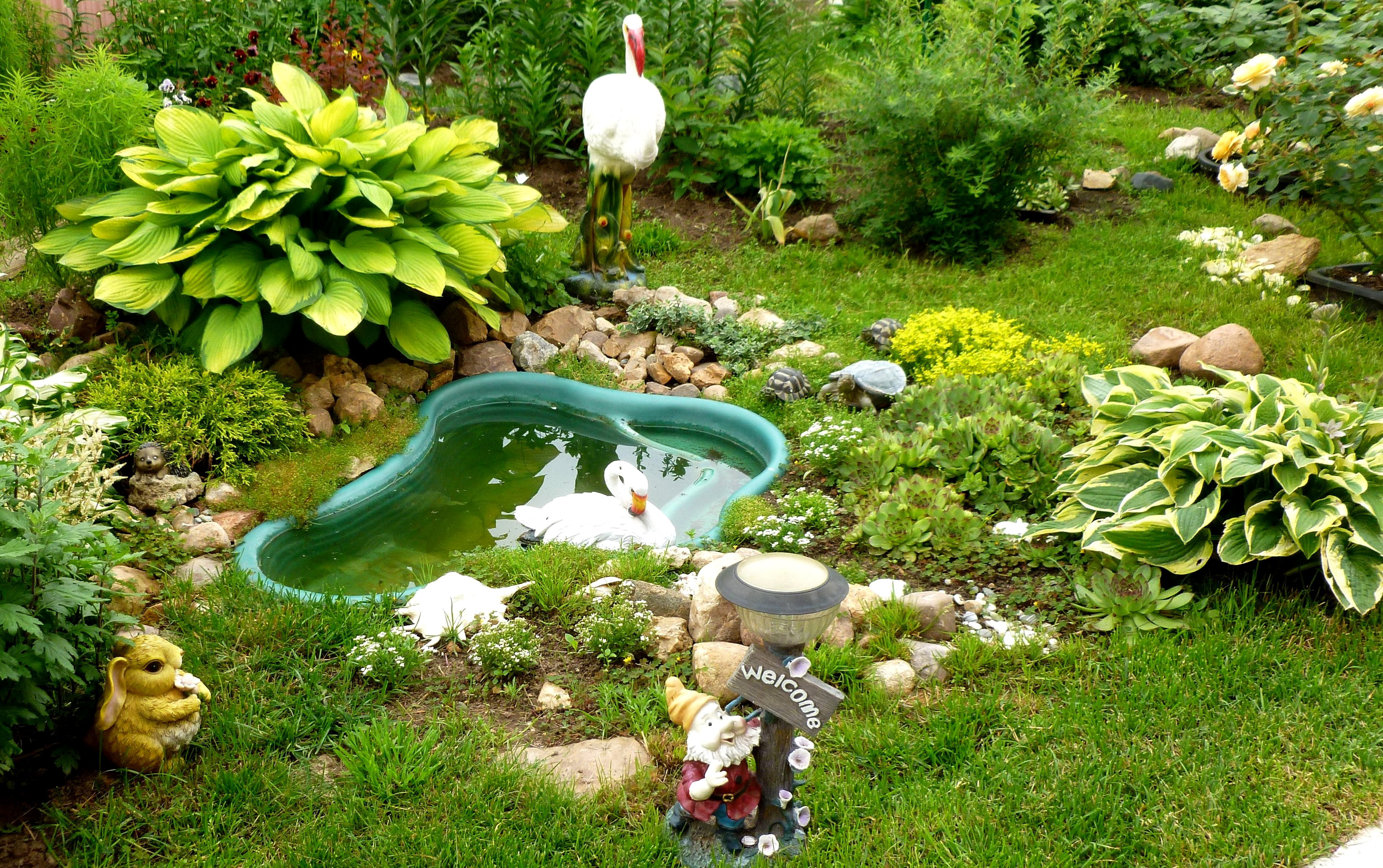 садовый пруд